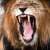 Flawed Application Logic: The Hidden Business Weak Spot